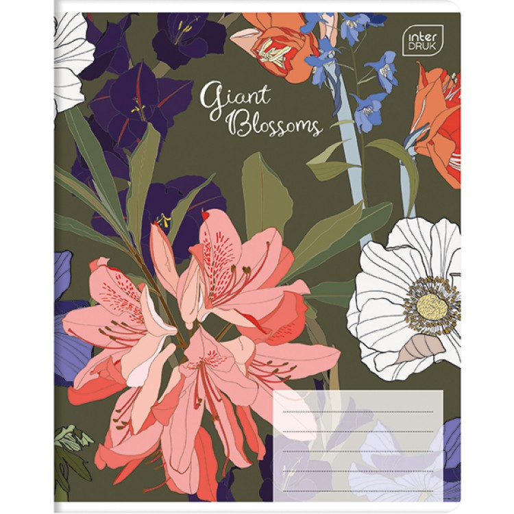408738376.jpg